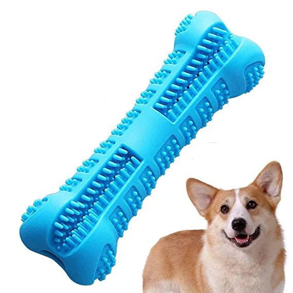 Hunde Zahnbürste Soft Rubber - eddy shop