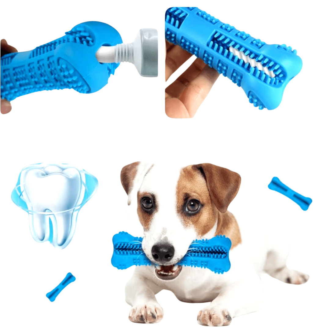 Hunde Zahnbürste Soft Rubber - eddy shop