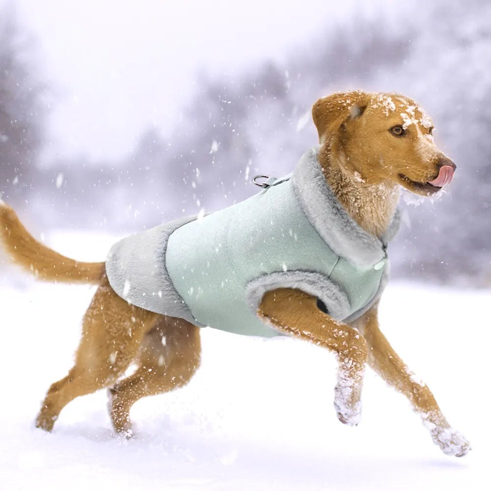 HUNDEJACKE ABSOLUT BEZAUBERND - eddy shop