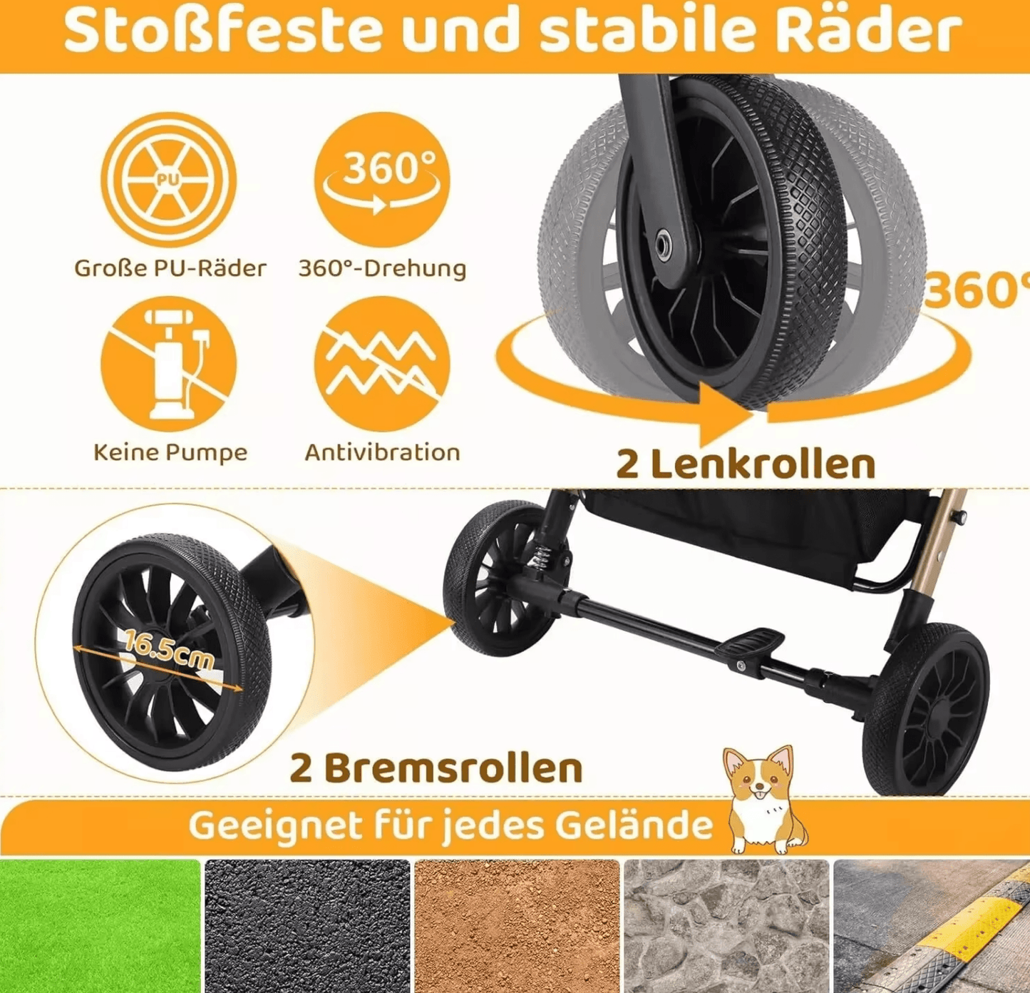 Hundekinderwagen - eddy shop