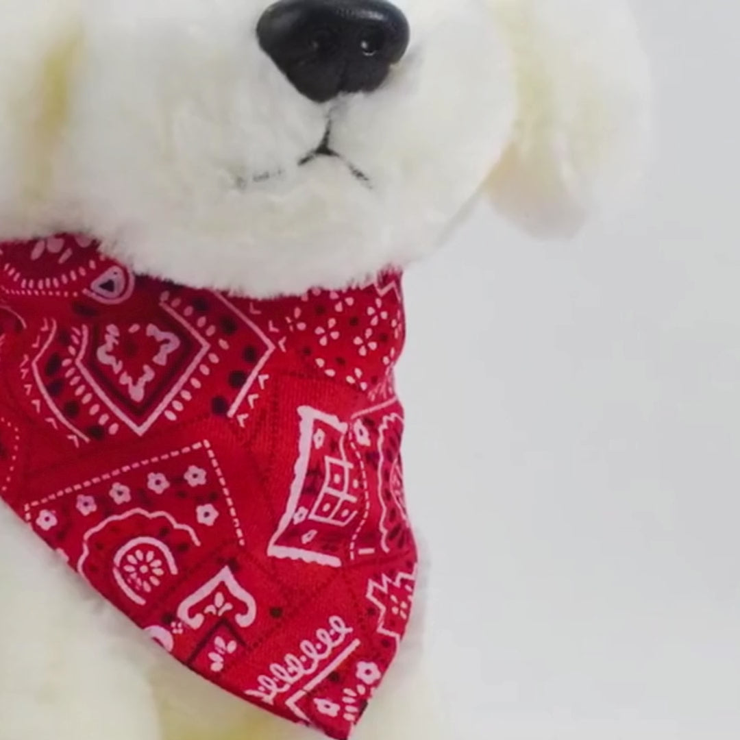 Video über ein Entzückendes Hundehalstuch  in rot oder vier Farben im eddy-shop