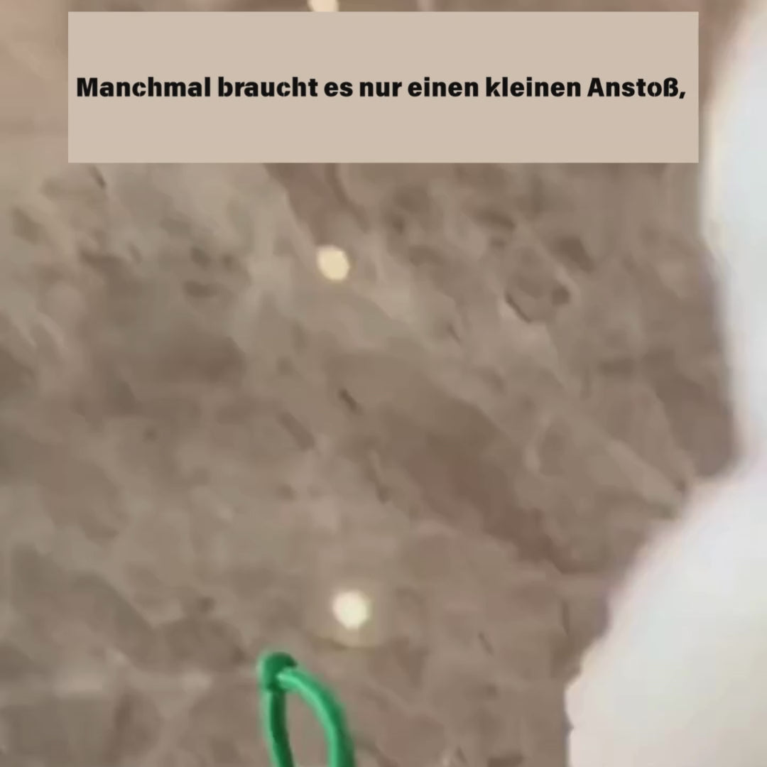 Der Powerball ist mehr als nur ein Spielzeug Film über kleinen glücklichen Hund