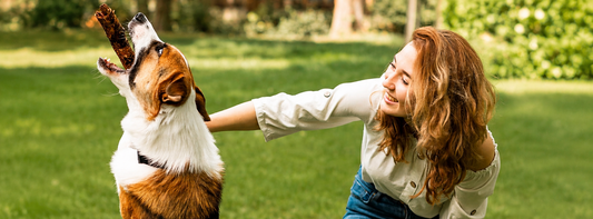 Körpersprache beim Hund verstehen:  Was Rute, Ohren und Stresssignale wirklich bedeuten?