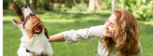 Praktische Tipps für unvorhersehbare Momente mit ihrem Hund