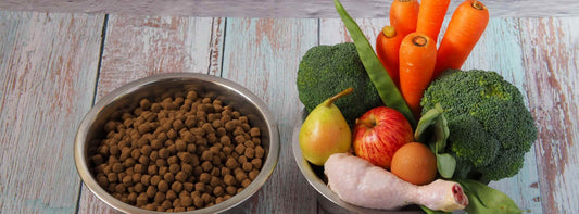 Nährstoffe Hunde: Entdecken Sie die Geheimnisse einer gesunden Ernährung