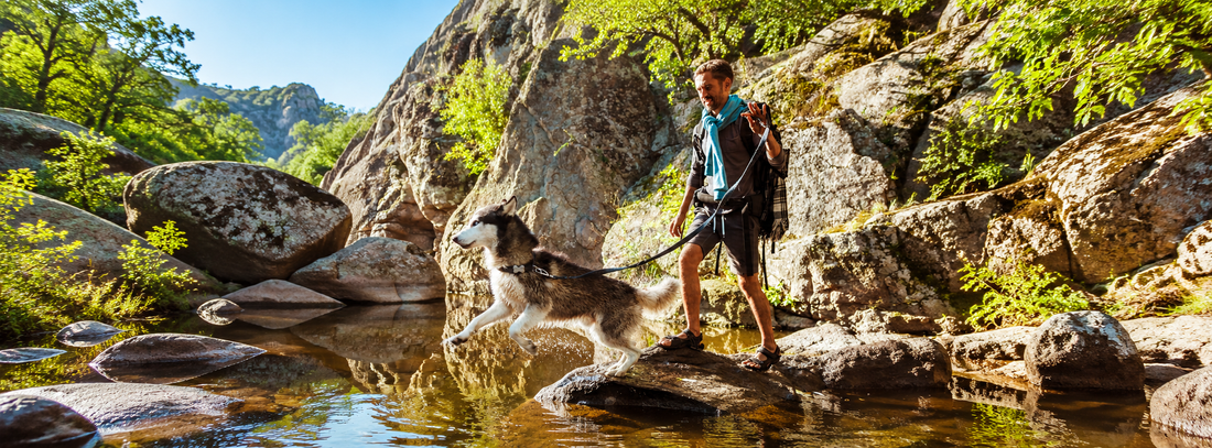 …wenn Ihr Hund unterwegs genauso viel zu sagen hat wie Ihre Wanderkarte