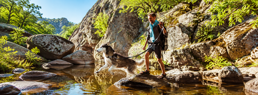…wenn Ihr Hund unterwegs genauso viel zu sagen hat wie Ihre Wanderkarte