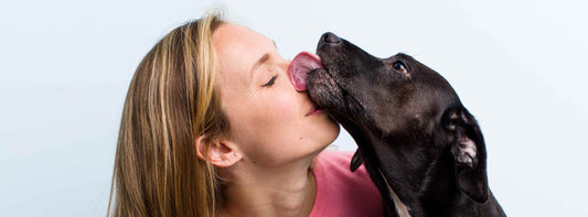Zeitfaktor Hund - Wie viel Zeit braucht Ihr Hund?