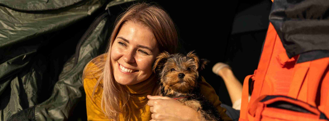 Camping mit Hund.  Ausrüstung, Packliste und Tipps für entspannte Hundereisen
