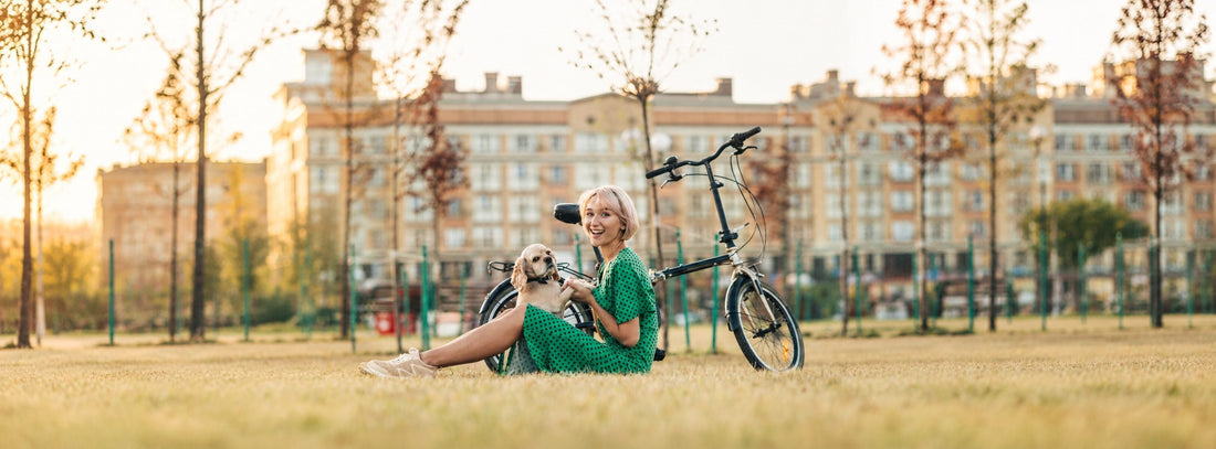 Ein Dogscooter für Sie beide