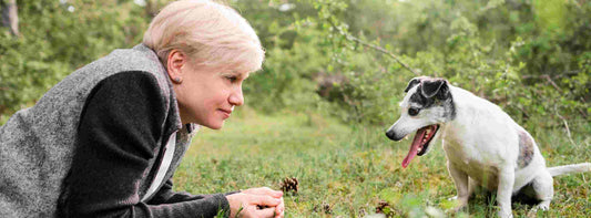 Artgerechte Hundehaltung:Was Ihr Hund wirklich braucht