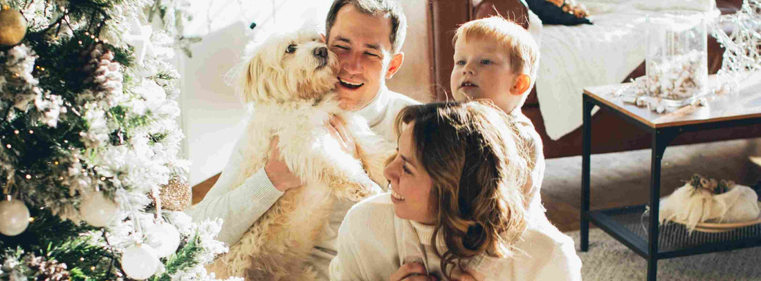 Weihnachten mit Hund: Tipps, & Geschenkideen für entspannte Feiertage