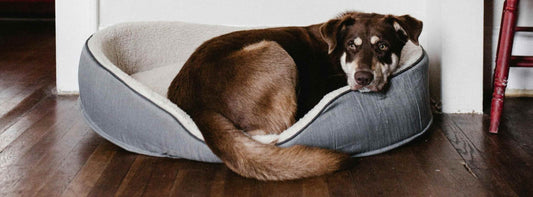 Ein Platz, der den Körper schont – nicht fordert