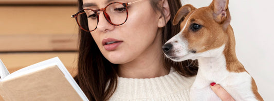 „Warum ein Hund mehr geben kann als Trost“