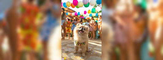 Open-Air mit Hund? Die wichtigsten Schutzmaßnahmen, wenn Ihr Hund mitkommt