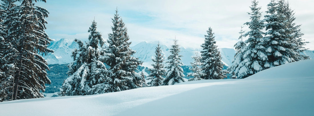 Bewusst ins Jahr 2026 starten statt einfach weitermachen!    Warum der Jahresanfang perfekt für gemeinsame Erlebnisse ist!