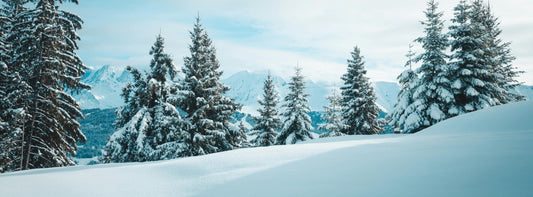 Bewusst ins Jahr 2026 starten statt einfach weitermachen!    Warum der Jahresanfang perfekt für gemeinsame Erlebnisse ist!