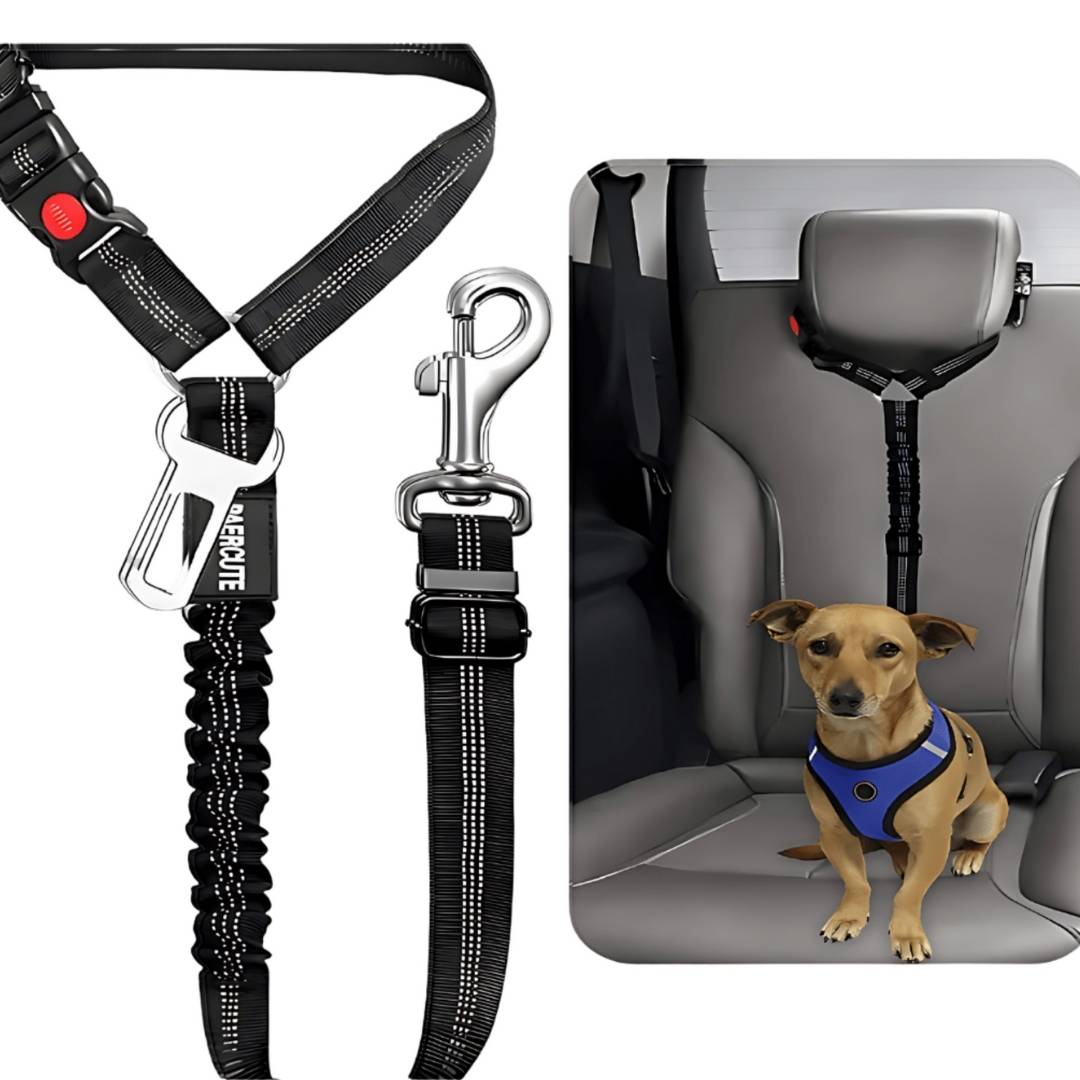Anschnallgurt Hund Auto – Sicherheit für jede Fahrt!