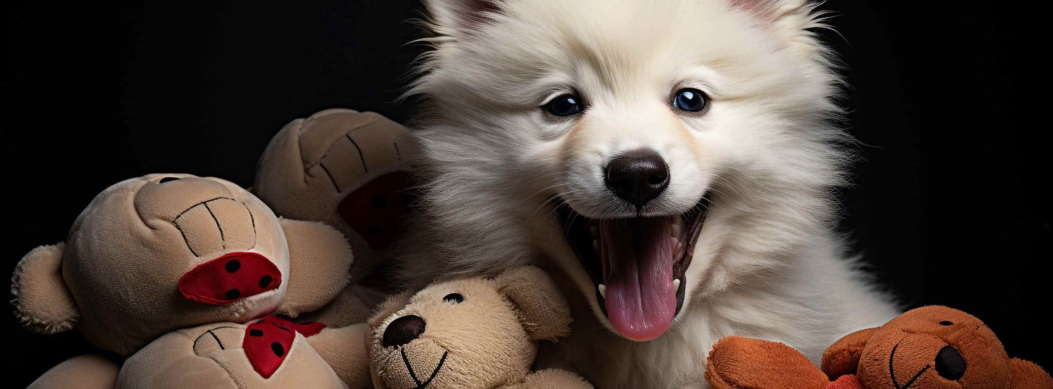 Eddy’s Tierbande – Hundespielzeuge in Tierform zum Kuscheln und Kauen