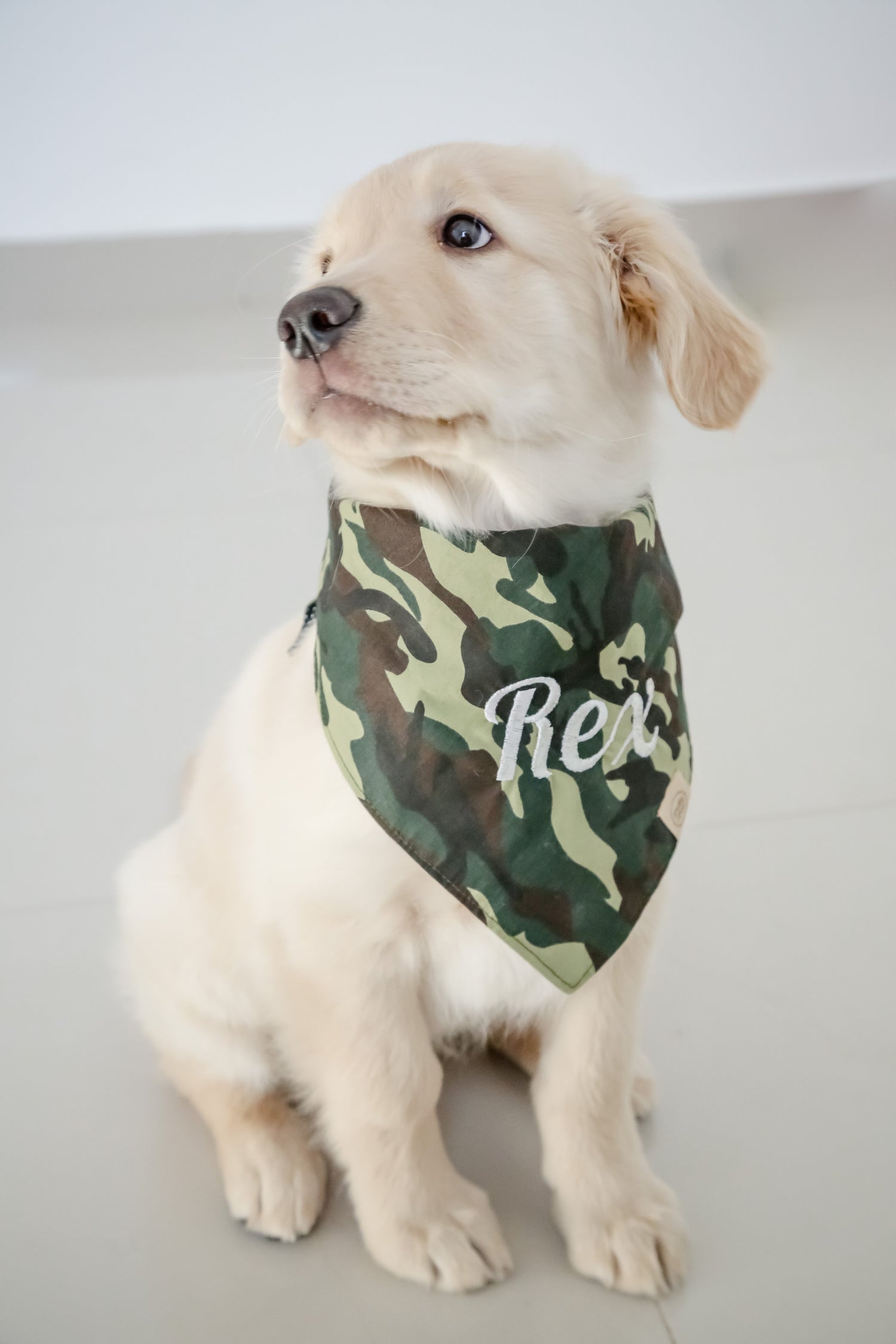 Halstuch Hund