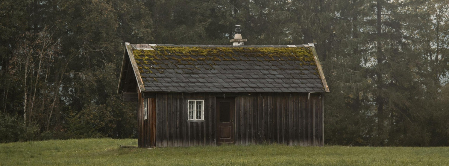 Hundehütte:  Mehr als ein Unterschlupf: Ein Zuhause im Zuhause eddy-shop