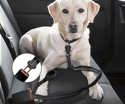 Sicherheits-Hundeleine Tactical 4-in-1