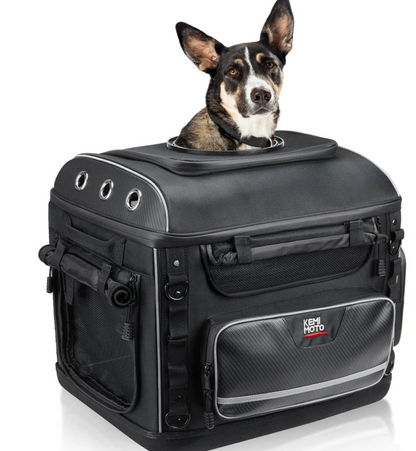 Motorrad-Hundetasche für kleine Hunde mit Hund im oberen Einstieg im eddy-shop.de
