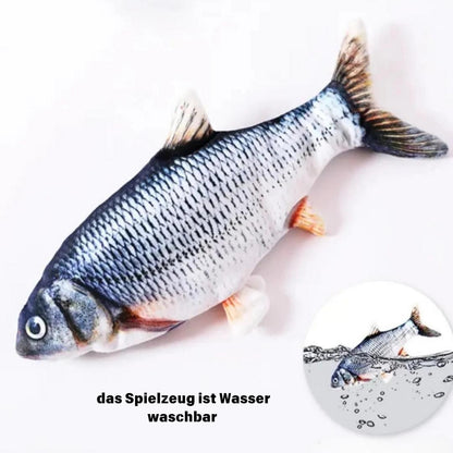 Zappel Fisch Leo der Karpfen