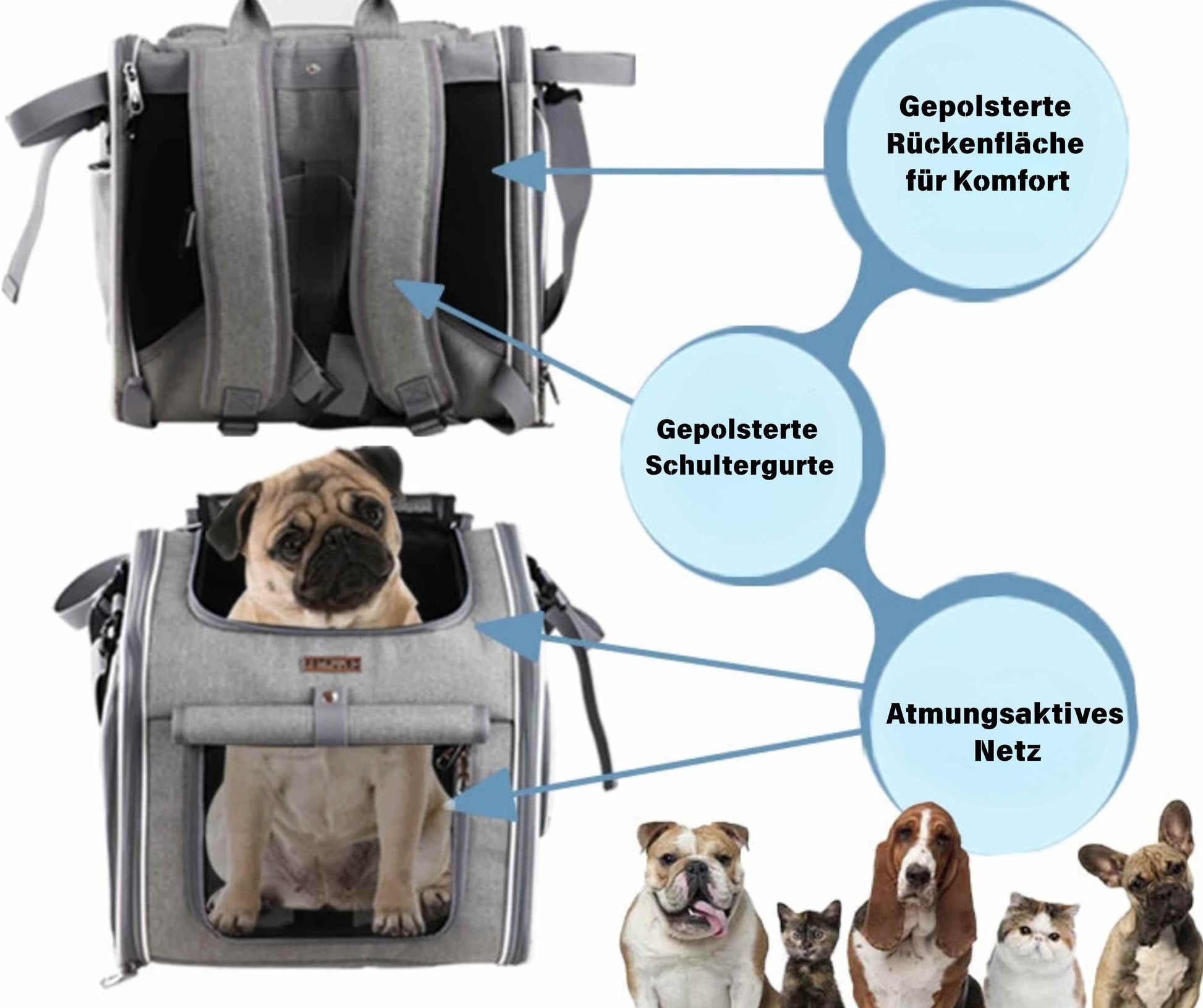 Hundefahrradkorb mit Erläuterungen 