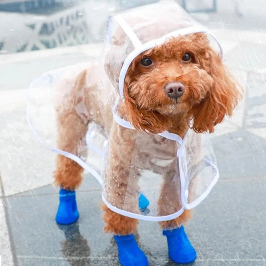 Regenmantel für Hunde – Schutz & Geborgenheit bei jedem Wetter