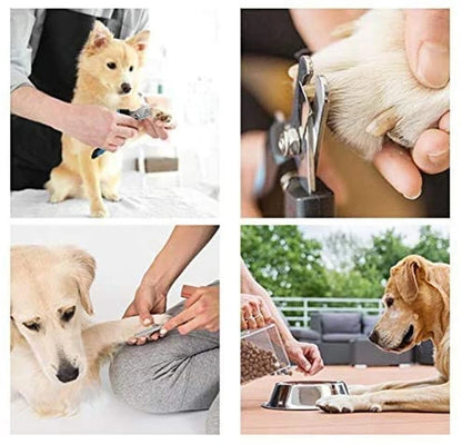 Gefühlvoll bei Ihrem Hund die Krallen schneiden