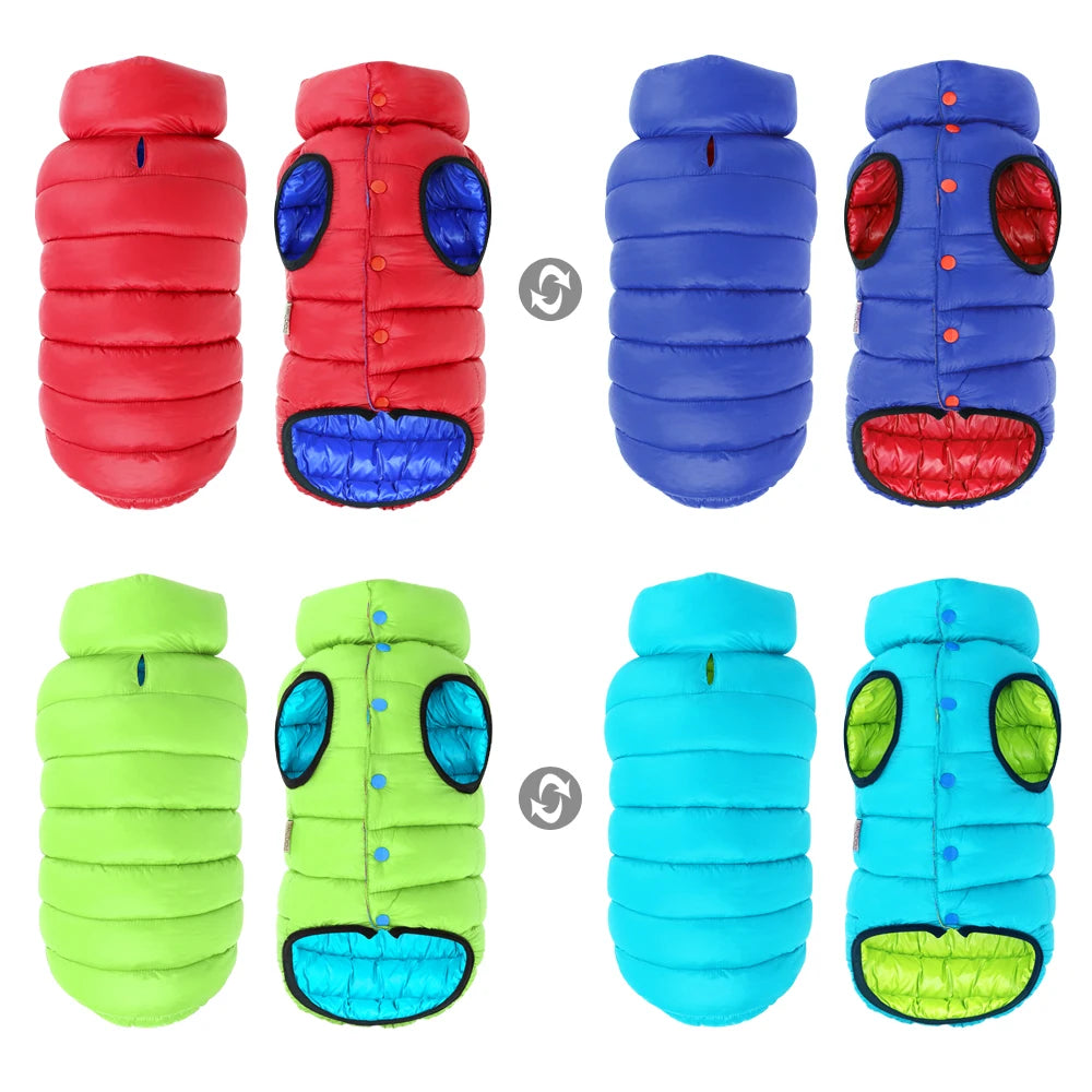 Detailaufnahme: verlängerter Kragen des Hundemantels schützt Nacken und Kopf