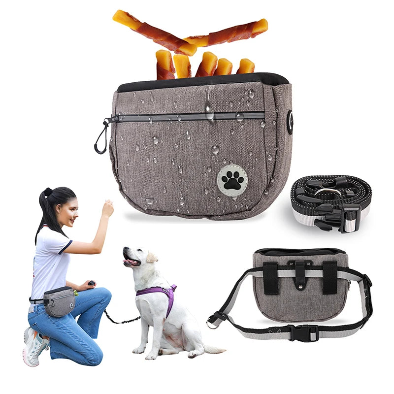 Hundetrainings-Leckerlibeutel und Wertsachen-Gürteltasche – Ihr cleverer Begleiter für aktive Hundemomente