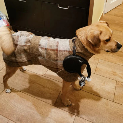 Mittelgroßer Hund mit sandfarbener Karo-Jacke – Bauchriemen und Rückenöffnung deutlich sichtbar.