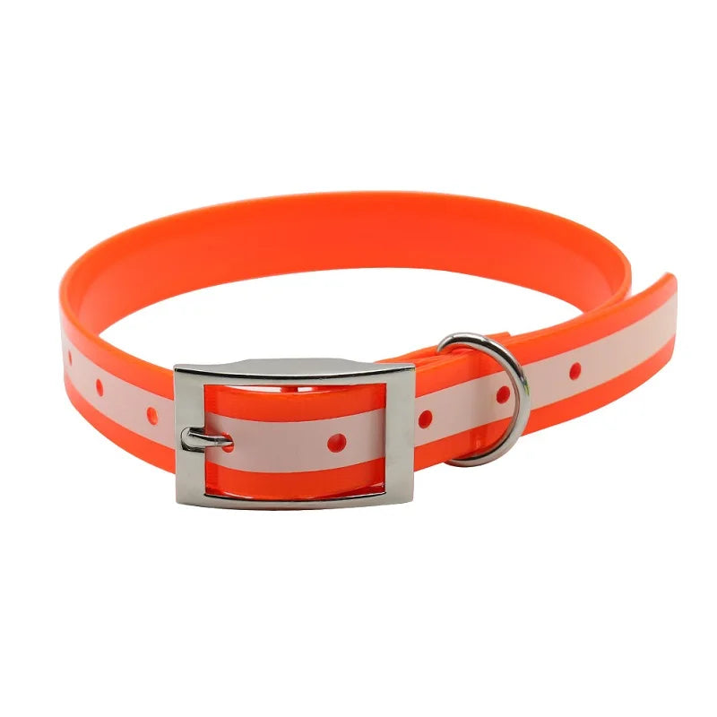 Hundehalsband Ihr Hund sicher & sichtbar – mit Stil und Herz