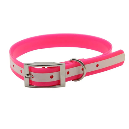 Hundehalsband Ihr Hund sicher & sichtbar – mit Stil und Herz