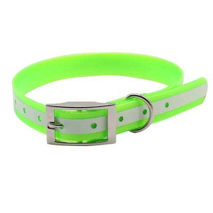 Hundehalsband Ihr Hund sicher & sichtbar – mit Stil und Herz