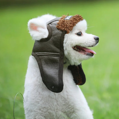 buntes Bild mit Fliegermütze und Hund