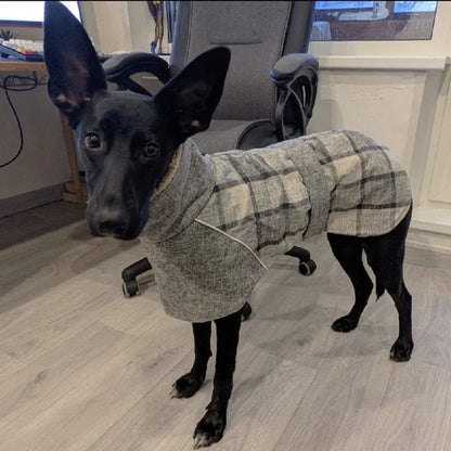 Schwarzer Hund mit beigebrauner Karo-Jacke – stabile Passform, Indooraufnahme.