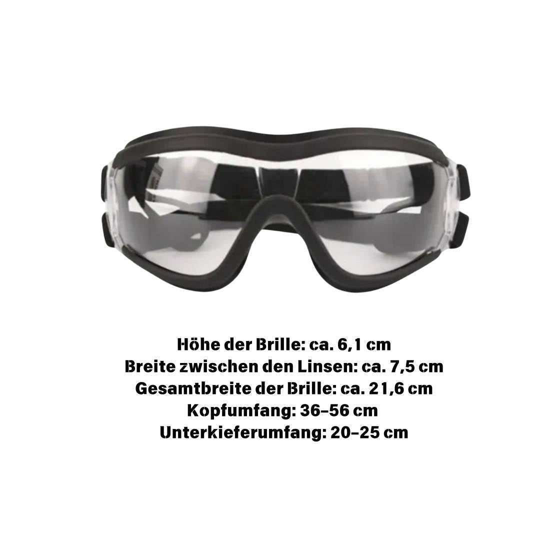Hundebrille wasserabweisend