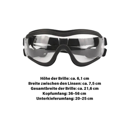 Hundebrille wasserabweisend