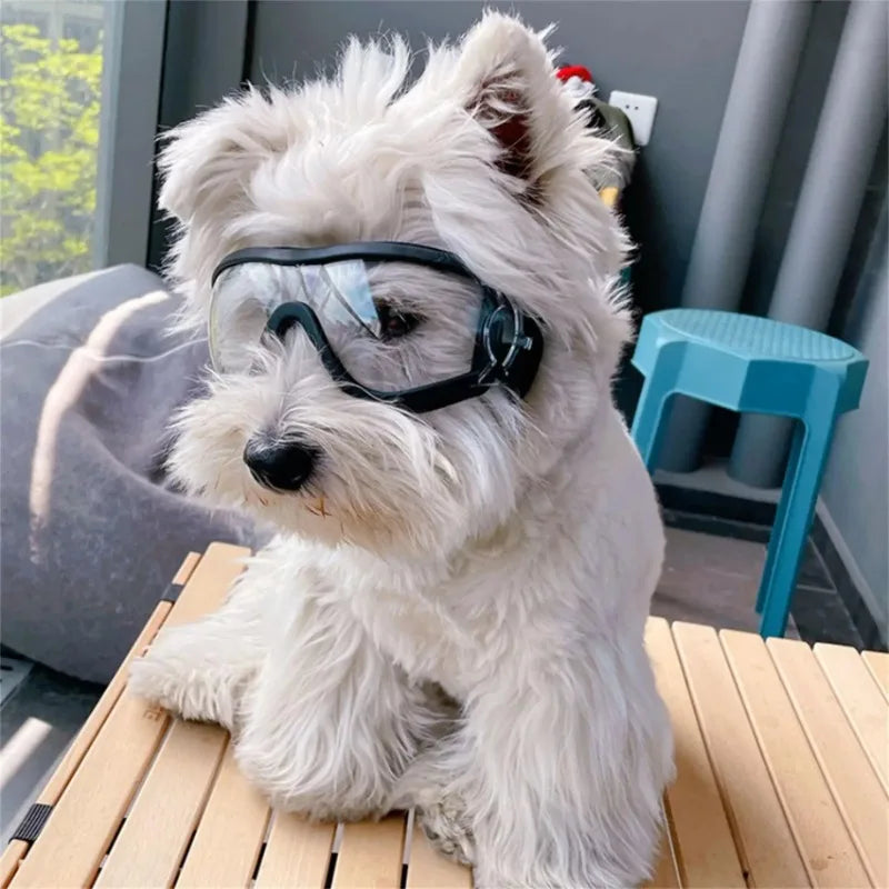 fahrradbrille für hunde Hundebrille wasserdicht & stilvoll – Klarer Blick für Hunde