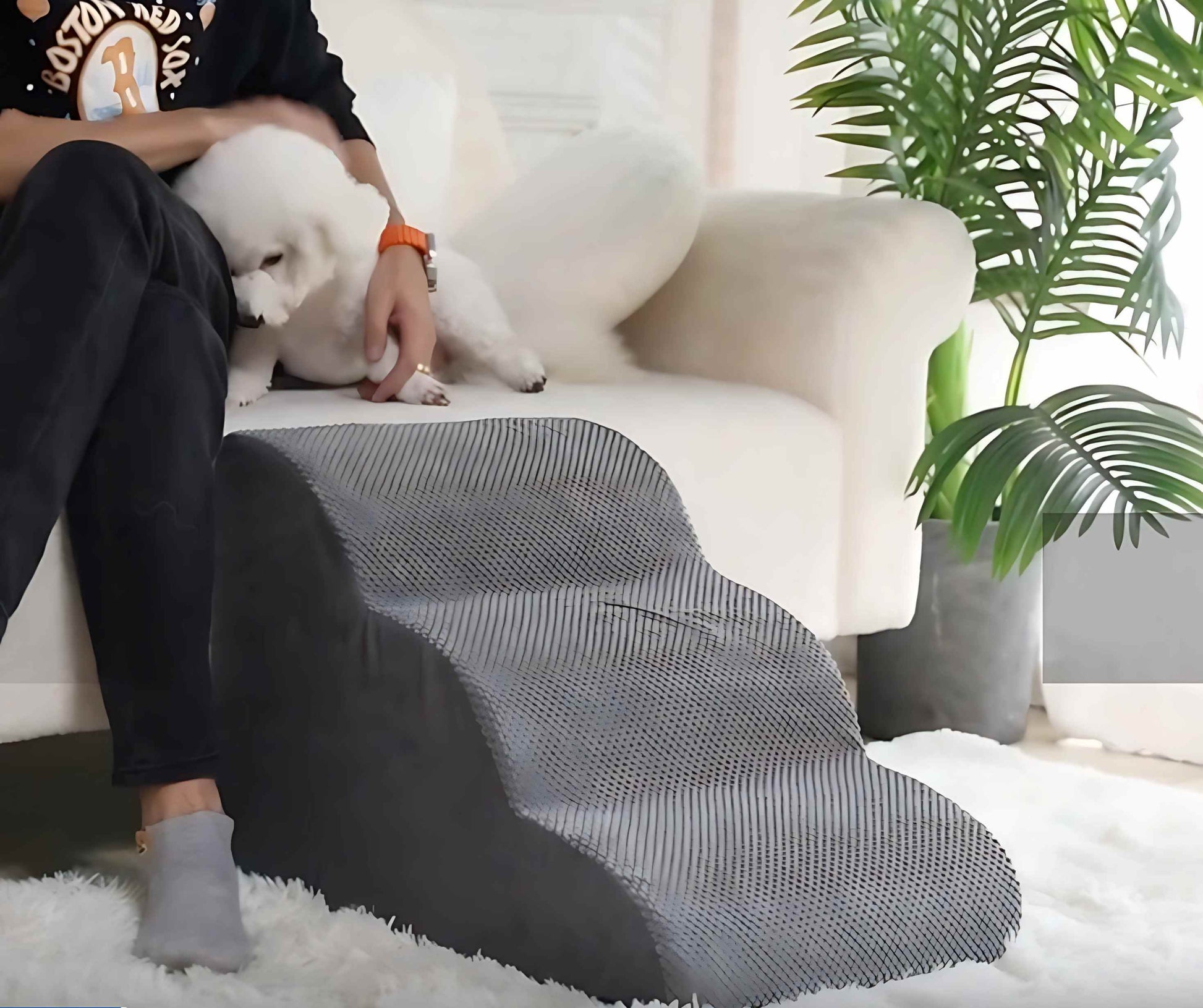 Hundetreppe das Original Junge FRau mit kleinem Hund