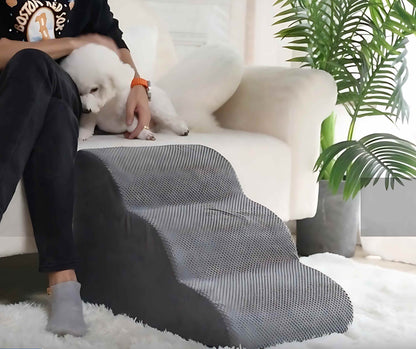 Hundetreppe das Original Junge FRau mit kleinem Hund