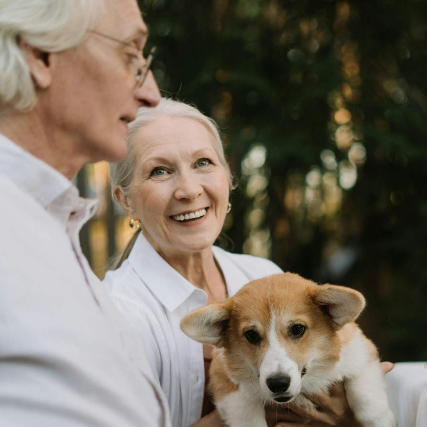Ein Leben lang ein Team – Sie und Ihr Hund mit eddy-shop.de