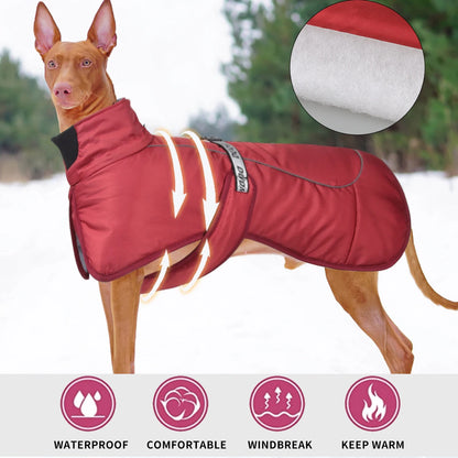 Detail: reflektierende Faden-Paspel entlang des Rückens für bessere Sichtbarkeit in der Dämmerung