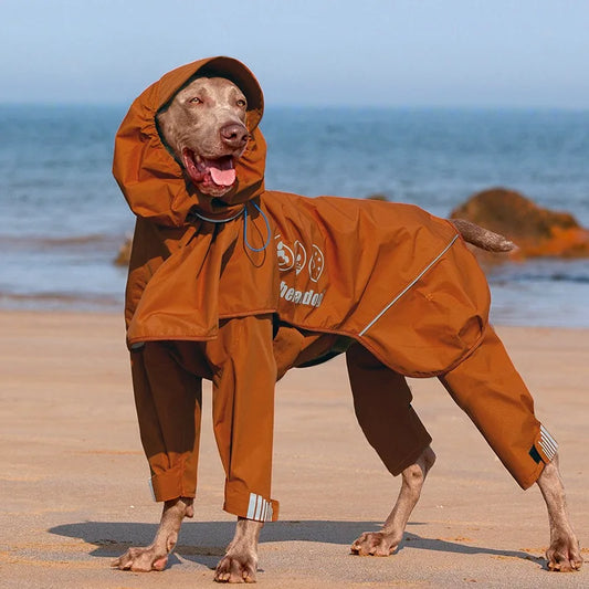 Hund in Bewegung Hundemantel Winter – rundum trocken & bequem m eddy shop