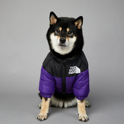 Hundejacke Winter „Puffer“ – warm, leicht, alltagstauglich