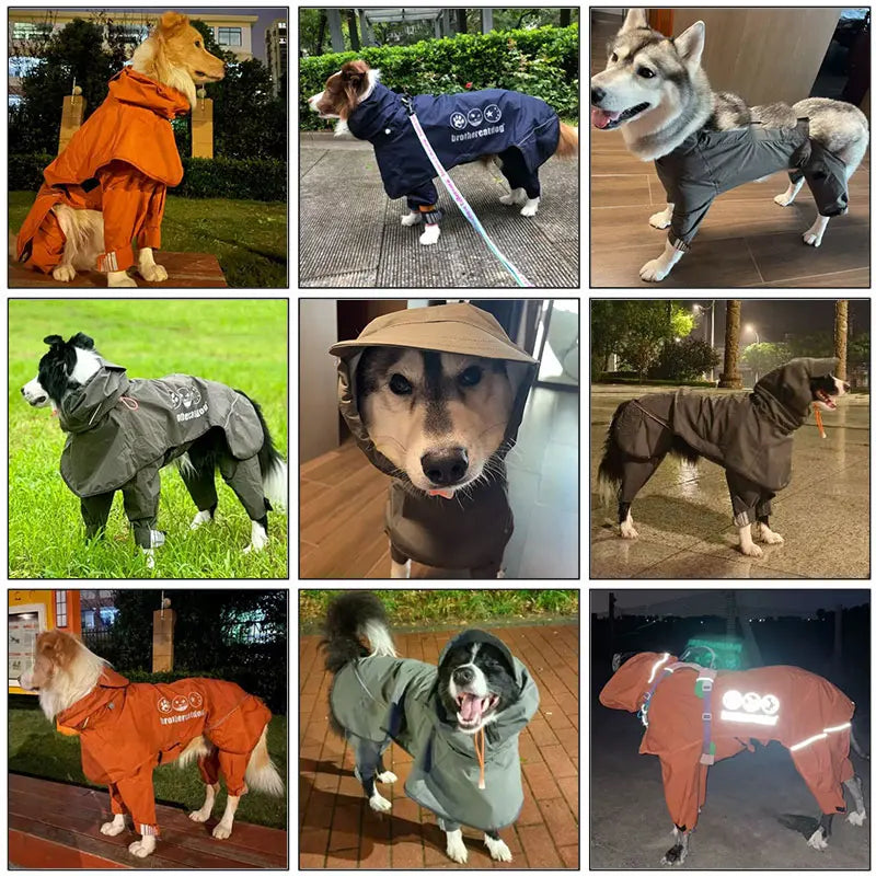 Regen? Schnee? Wind? – Mit diesem Hunde-Mantel bleibt Ihr Liebling entspannt & geschützt