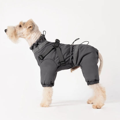 Winteroverall für Hunde mit Rückenreißverschluss und Abdeckleiste – Detail. in Grau